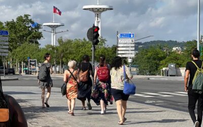 LA MIGRACION DE LOS PAJAROS